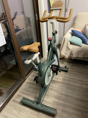 %title插图%num mobifitness智能家用动感单车室内健身房品质运动减肥健身器材 磁控静音高惯性飞轮 Turbo经典款