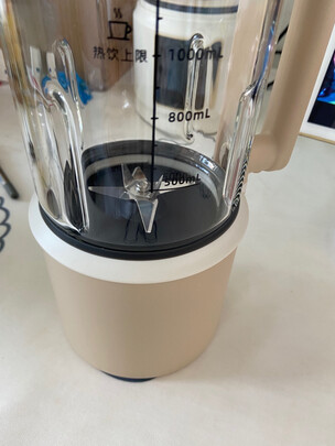 蓝宝BLAUPUNKT破壁机一个月后开始后悔了诉说原因