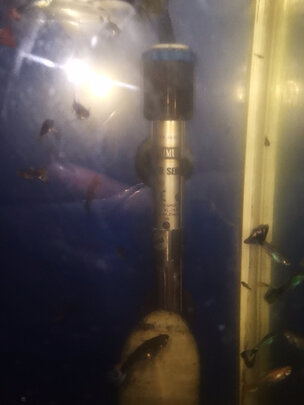 鱼缸加热棒