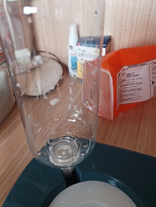 猫碗狗碗