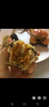 图片[4] - 分享青岛梭子蟹好不好吃？ - 淘实惠