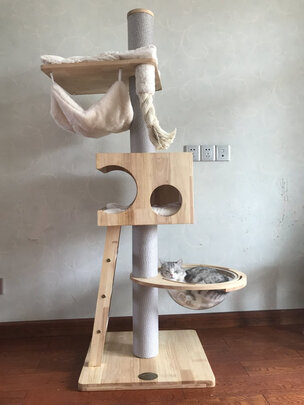 猫爬架