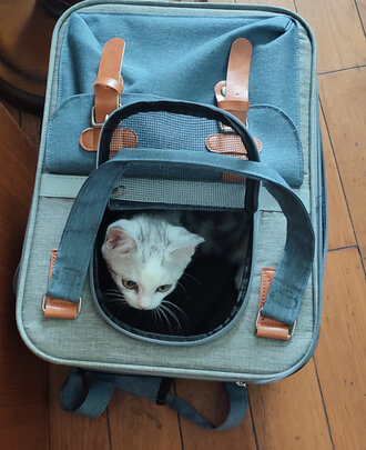 猫包