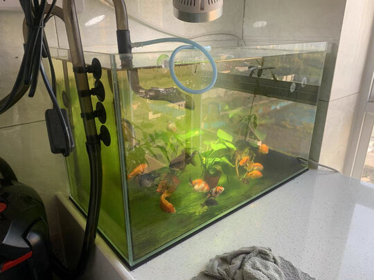 鱼缸过滤棉