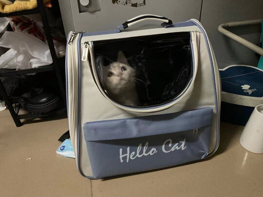 猫包