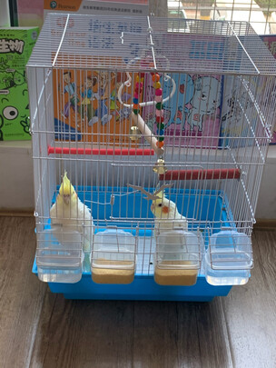 鸟笼