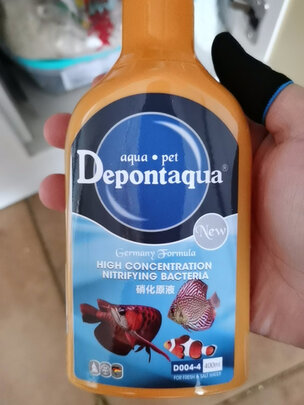 鱼缸硝化细菌