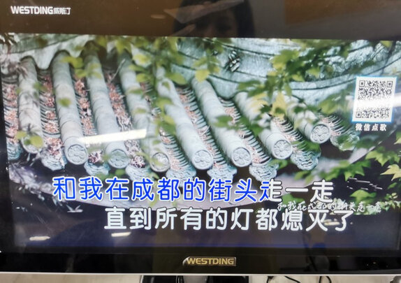 威斯汀飞扬一号是哪里生产的，值吗