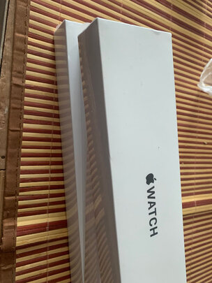 AppleApple Watch SE（前车之鉴）有必要告诉大家真相