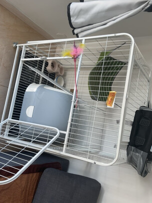  猫笼