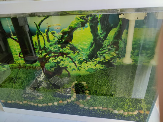 水草泥