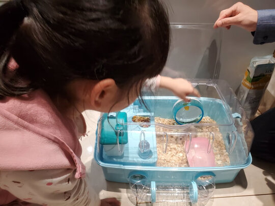 仓鼠水壶