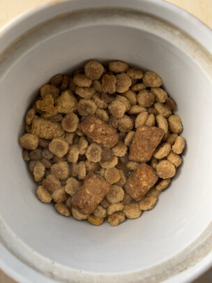 猫粮