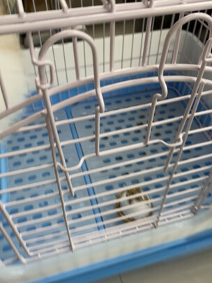 兔笼子