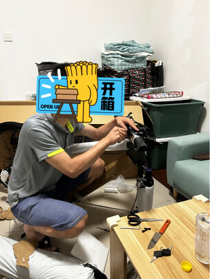 电动自行车