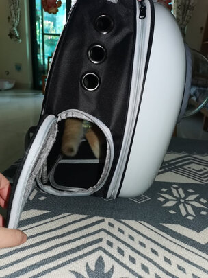 猫包