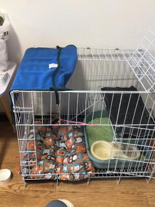  猫笼