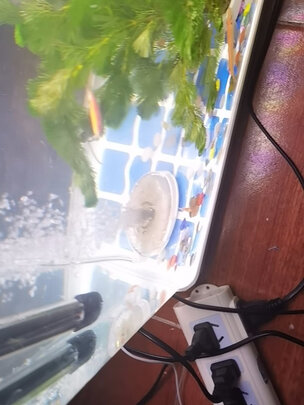 鱼缸过滤器