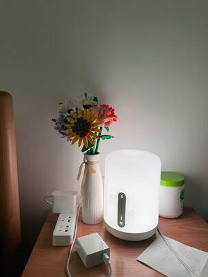 小米米家床头灯2智能家居值得购买吗?属于什么档次?