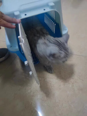 宠物航空箱
