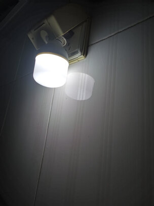 led灯泡