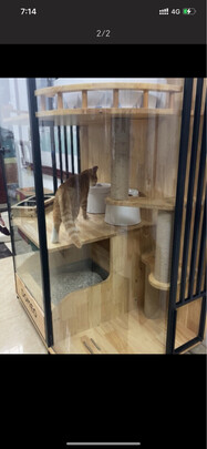 猫碗狗碗