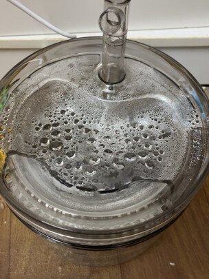 宠物饮水机