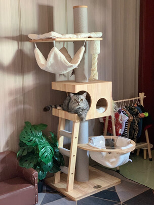猫爬架