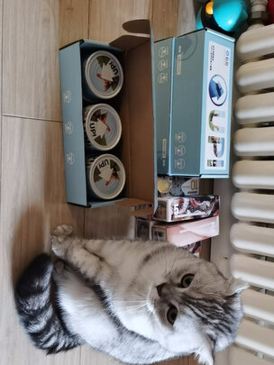 猫粮罐头