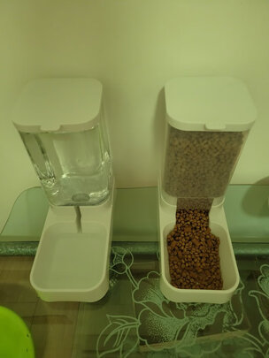 宠物自动喂食器