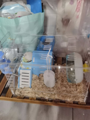 仓鼠水壶