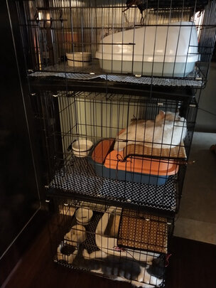 猫笼
