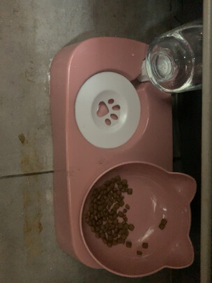猫碗狗碗