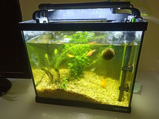 鱼缸刮藻刀