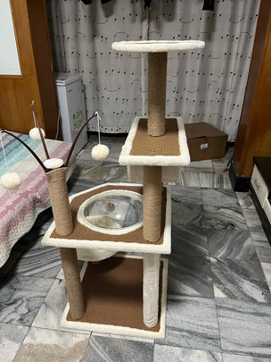 猫爬架