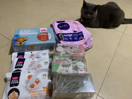 猫罐头