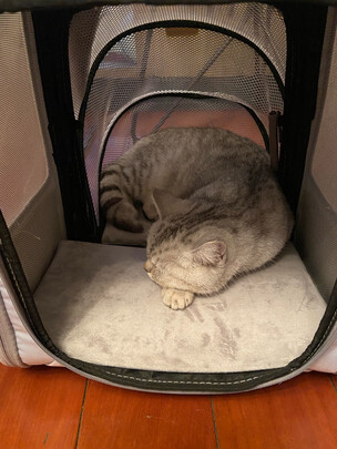 猫包