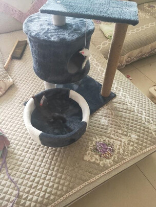 猫爬架