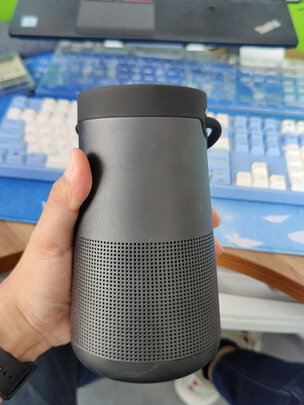 BoseSoundlink Revolve+评判质量差有依据吗？
