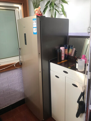 冰柜|海尔BD-228WL冰柜怎么样评测分析结果告知！