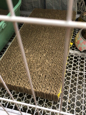 猫抓板