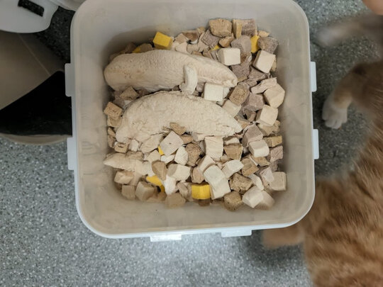 猫零食