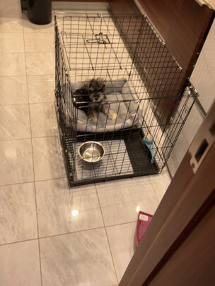  猫笼
