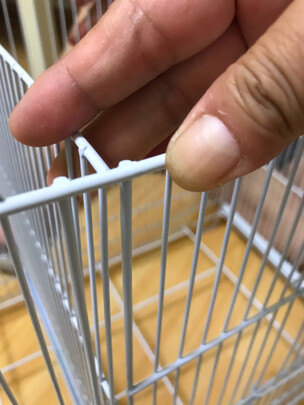 鸟笼