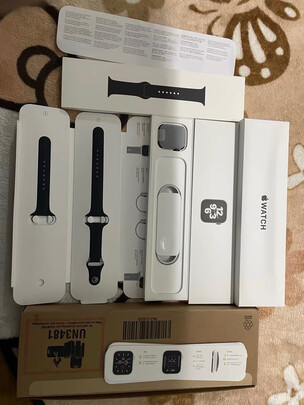 AppleApple Watch SE（前车之鉴）有必要告诉大家真相