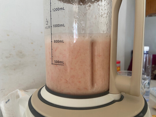 蓝宝BLAUPUNKT破壁机一个月后开始后悔了诉说原因