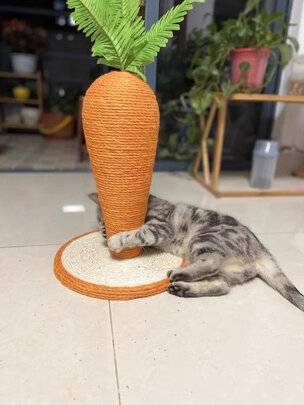 猫爬架