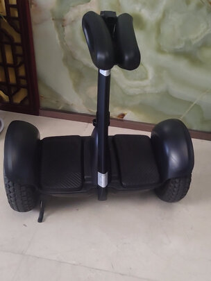 小米(mi) 平衡车燃动版9号成人两轮电动体感车九号平衡车儿童思维车