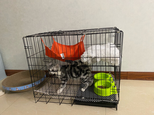  猫笼