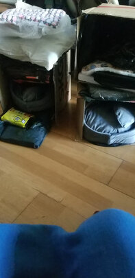 猫窝